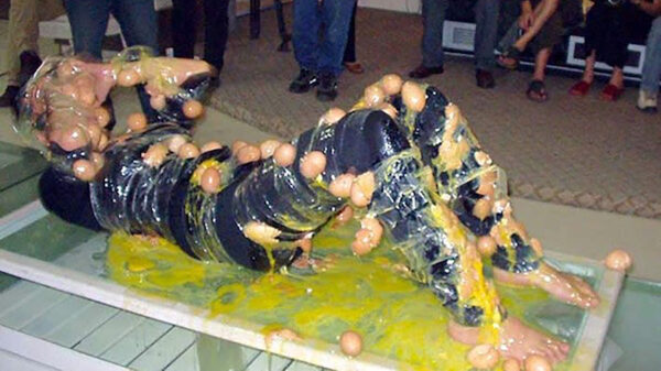 Picdump (4213)