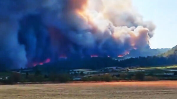 Zuid-Frankrijk staat in de fik: 1800 brandweerlieden op de been