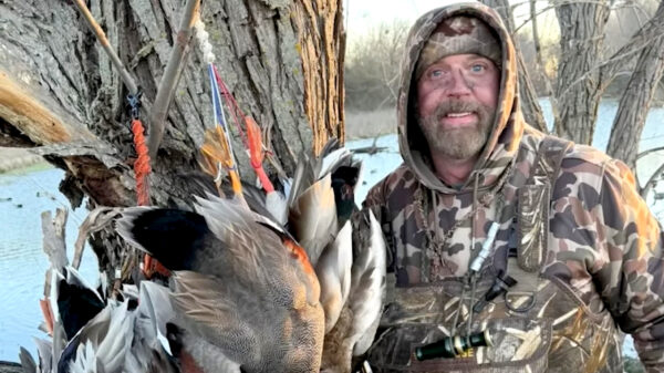 Texaanse miljonair doodgetrapt door buffel tijdens jacht in Zuid-Afrika