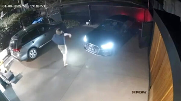 Man jaagt autodieven weg door als een geflipte pitbull te blaffen