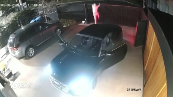 Man jaagt autodieven weg door als een geflipte pitbull te blaffen