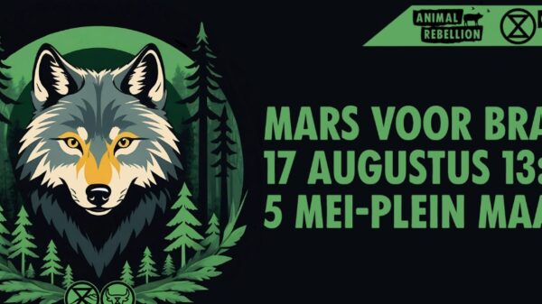 Protestmars voor wolf Bram: XR steekt ‘probleemdier’ hart onder de riem
