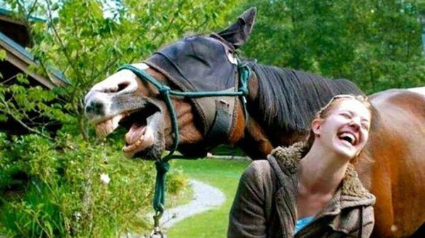 Picdump (4222)