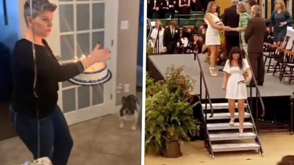 Compilatie: Soms zit het mee en soms zit het eventjes gigantisch tegen