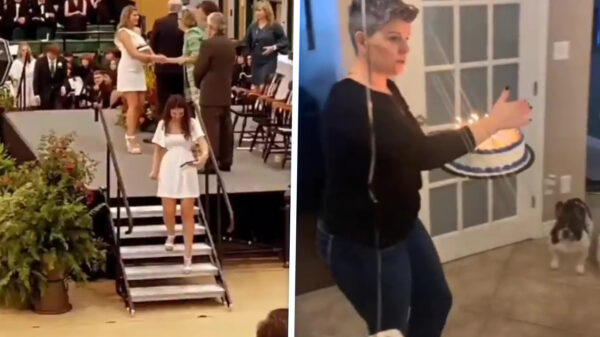 Compilatie: Soms zit het mee en soms zit het eventjes gigantisch tegen