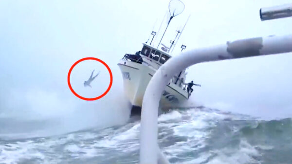 De meest epische boot- en scheepsongelukken ooit vastgelegd op camera