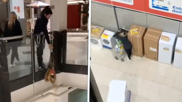 Winkeldieven ontwijken alarmsysteem op bijzonder simpele manier