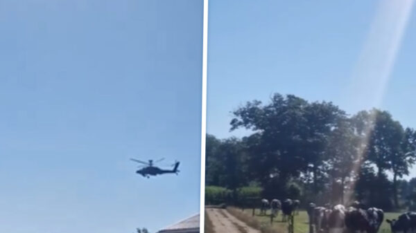 Boer is pislink dat Defensie oefent boven weiland: "Rustig jongens!"