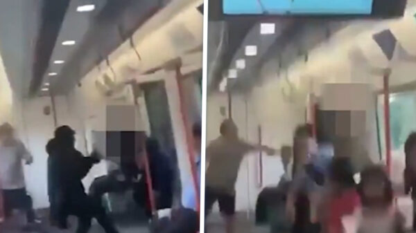 13-jarige knul de hele trein doorgemept door volwassen lafbek in Londen