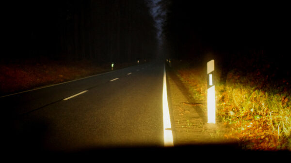 Twee doden na keiharde klap tegen boom in Gelderse Voorthuizen