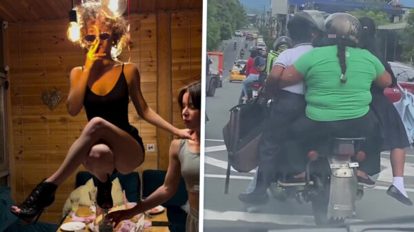 Gifdump: Kan iemand me vertellen wat er in godsnaam net is gebeurd?