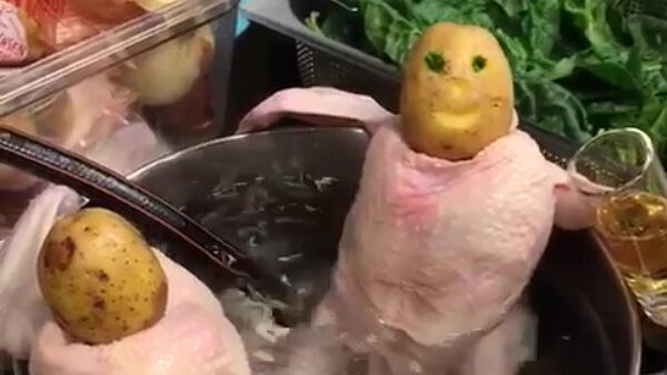 Sommige mensen hebben net iets teveel plezier in het koken