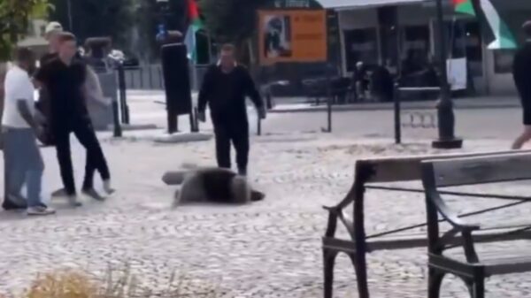 Zweedse man met hoofd tegen de tegels gebeukt na clash met Palestina-betogers