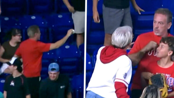 Karen eist homerun op bij kind in stadion, krijgt internet over zich heen