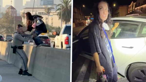 Agent probeert vrouw in LA te redden die compleet van het padje is