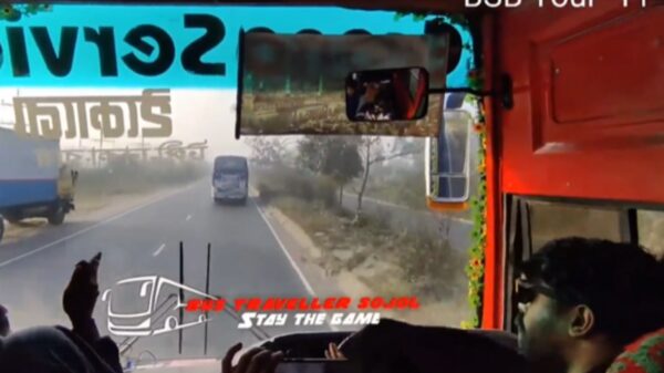 Busritje in India blijkt een soort survival of the fittest-experiment