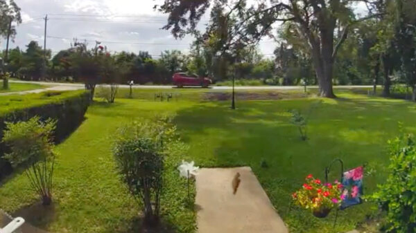 Psst, hebben jullie toevallig zin in een zakje vers gebrande nootjes?