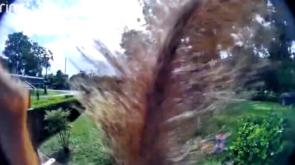 Psst, hebben jullie toevallig zin in een zakje vers gebrande nootjes?