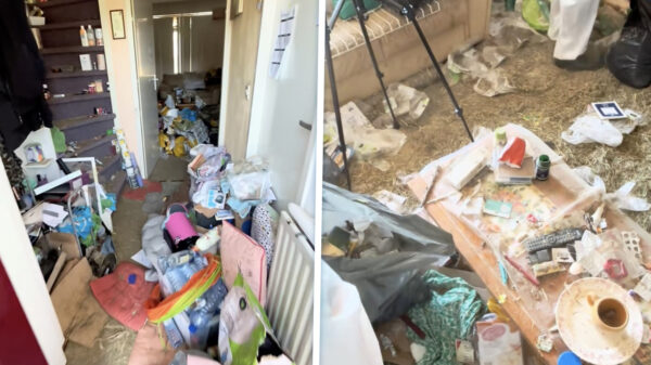 Compleet verwaarloosd huis weer toonbaar na bezoekje van Coline