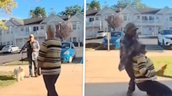 Ruzie om huisdieren escaleert: Ouwe tak schiet buurman recht in het gezicht