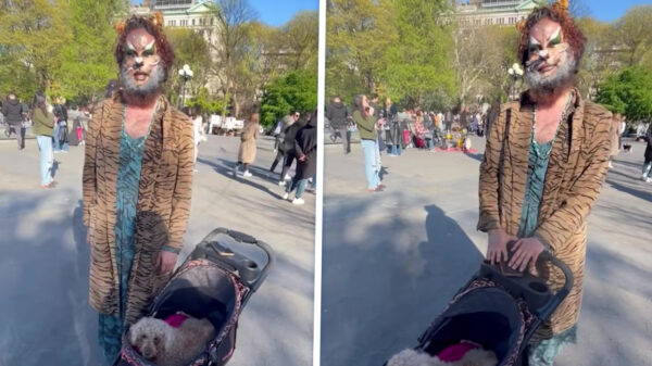 Hond Pumpkin is volgens zijn baasje transgender, logisch natuurlijk!