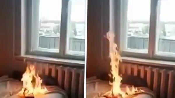 19-jarig meisje zet huis van haar ouders in de hens voor wat likes