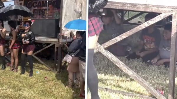 De boys zaten niet alleen gratis, maar hadden ook de béste plek van de show