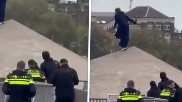 Dramatische sprong van Erasmusbrug: Politie kon vrouw niet tegenhouden