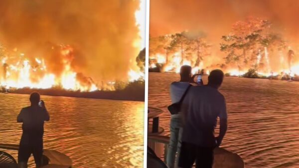 Horrorbeelden: Massale bosbranden verwoesten vakantiebestemming bij Antalya