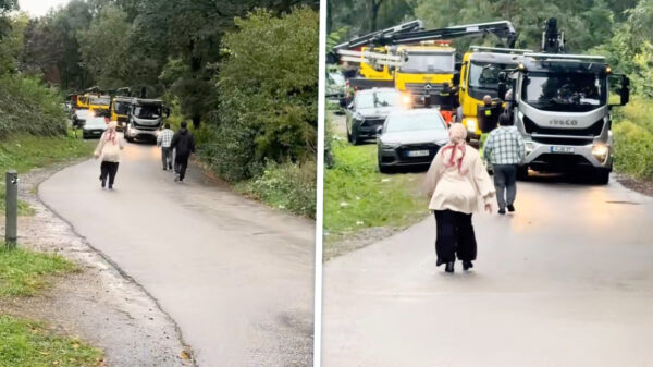 Wegsleepkarma voor aantal illegaal geparkeerde (huur)auto's in Duitsland