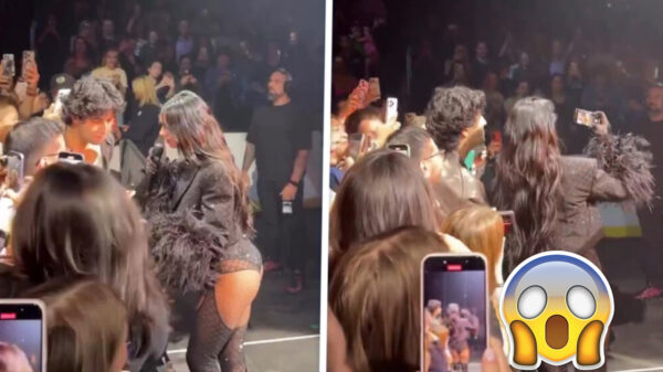 Fan scoort selfie met Dua Lipa tijdens show, wij krijgen gratis uitzicht