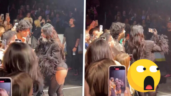 Fan scoort selfie met Dua Lipa tijdens show, wij krijgen gratis uitzicht