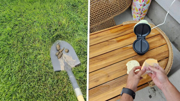 Op een (on)smakelijke manier wraak nemen op de kakkende hond van je buren