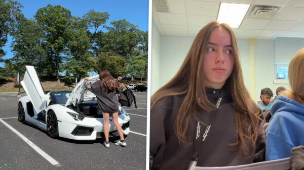 Een dag uit het leven van een extreem verwend Amerikaans nest