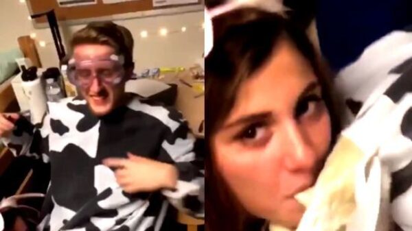 Met dit kostuum heb je altijd chicks om je heen hangen tijdens carnaval!