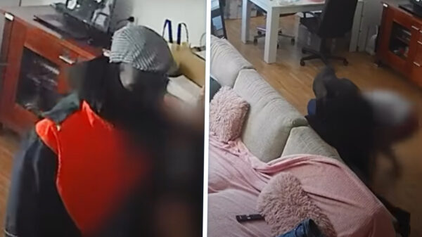 Brute overval vastgelegd: Vrouwen mishandeld door neppostbode en handlanger