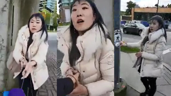 Gestoord mens valt hondeneigenaar aan en trapt zijn viervoeter