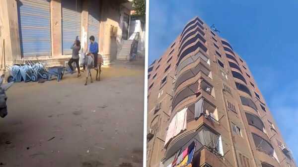 Dankzij ingenieus Egyptisch liftsysteem ben je binnen 7 seconden boven