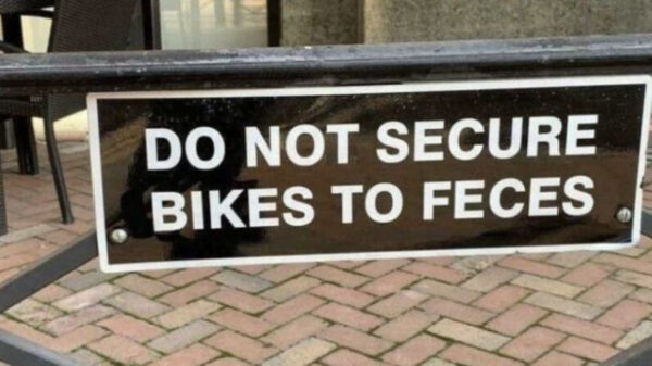 32 voorbeelden van ‘hoe krijg je dit in godsnaam voor elkaar?’