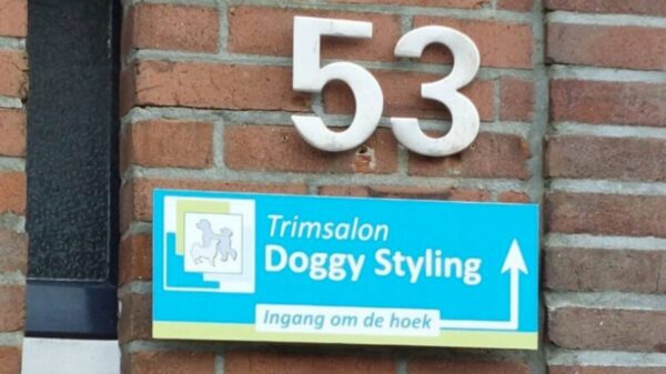 21 mensen die het brein van een stoeptegel delen