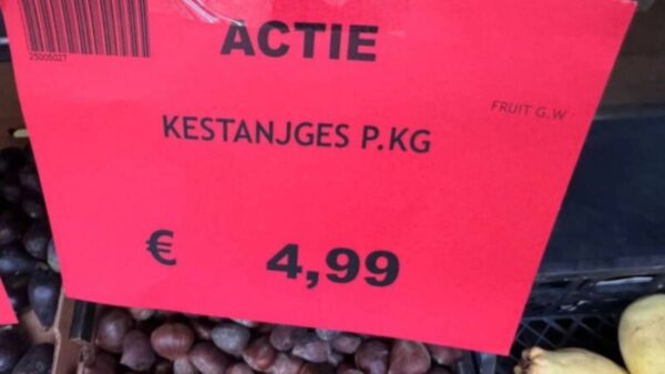 21 mensen die het brein van een stoeptegel delen