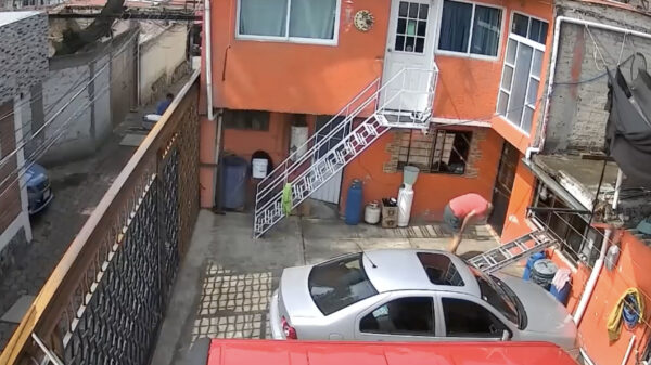 Nutteloos maar verslavend: We hebben een verse lading Coubs binnengeharkt