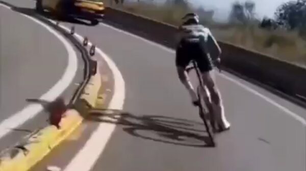 Wielrenner Francisco Galvan springt over middenberm en riskeert straf