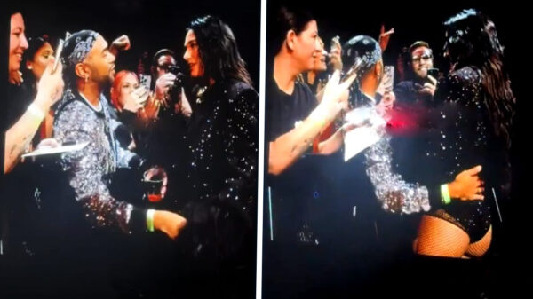 Beveiliger grijpt in bij té handtastelijke fan bij concert Dua Lipa