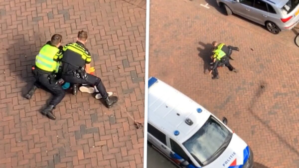 Buurtbewoners genieten van live show: Arrestant uitgeschakeld met taser