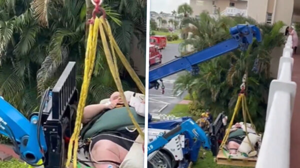 Smulpaap van 270 kilo met hijskraan uit huis getakeld na 'medisch noodgeval'