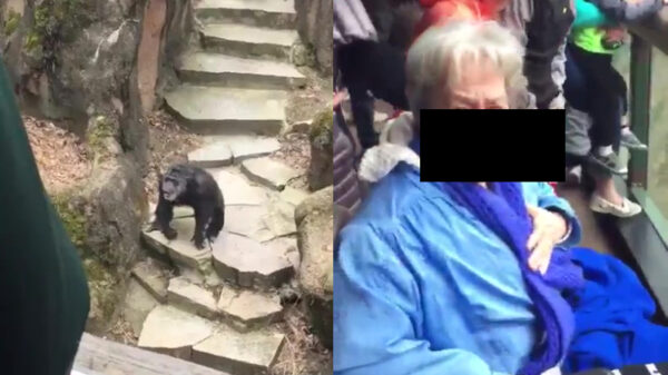 Oma zal dit dagje dierentuin nog lang niet vergeten