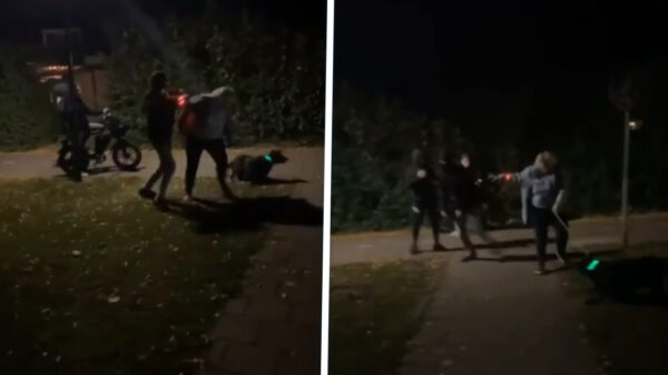 Vrouw met hond in Raamsdonksveer mishandeld door fatbikers met vuurwerk