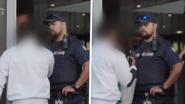 Chaos in Overtreders: Broer van zwartrijdster ploft uit zijn vel tegen boa's