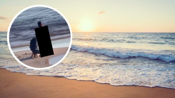 Artistieke fotograaf weet 2 schitterende strandduinen vast te leggen